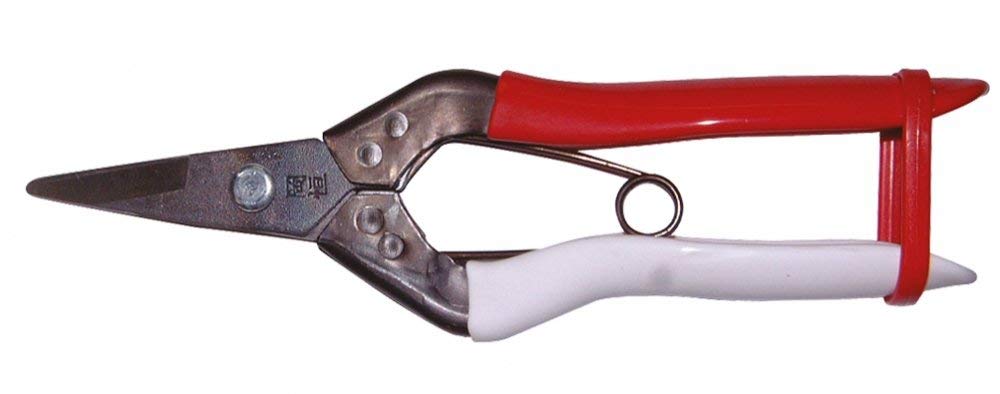 Okatsune 180mm Fruit Thinning Scissors No.307B for Precise Pruning