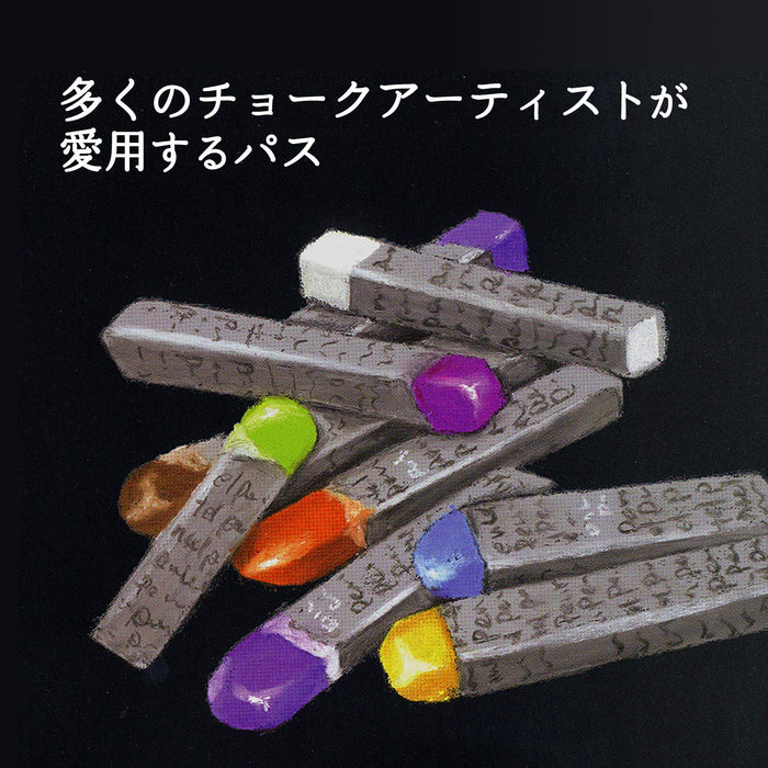 Pentel Professional Oil Pastel Set PTA-25D 25 Vibrant Colors-Kiichin - The #1 Place for Japanese Goods in Your Hand!