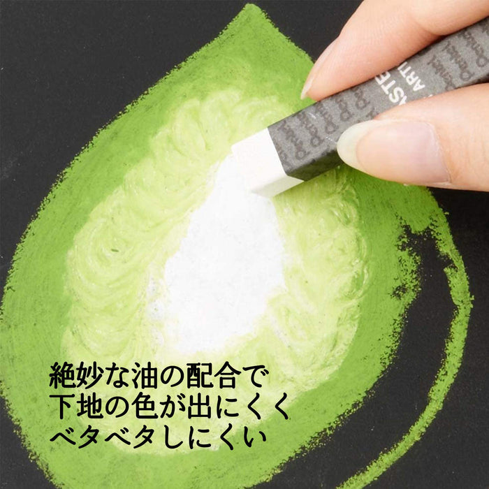 Pentel Professional Oil Pastel Set PTA-25D 25 Vibrant Colors-Kiichin - The #1 Place for Japanese Goods in Your Hand!