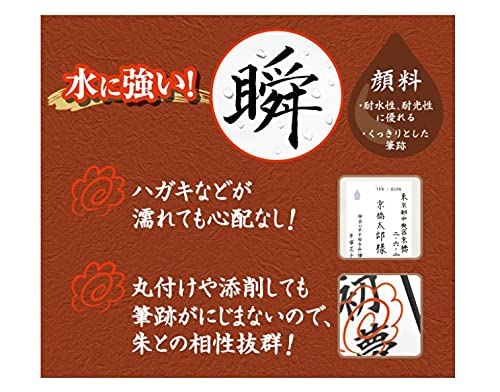 Pilot Medium Point Quick Dry Black Brush Pen Authentic Pigment - Svsg80Fdmb-Kiichin - The #1 Place for Japanese Goods in Your Hand!