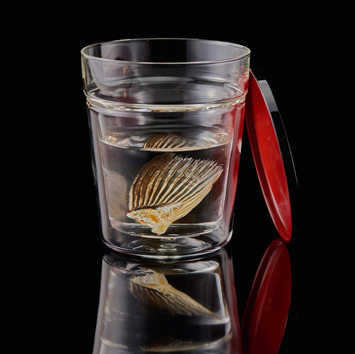 Hario Glass Sake Cup 1 Cup GHK-180-Kiichin - The #1 Place for Japanese Goods in Your Hand!