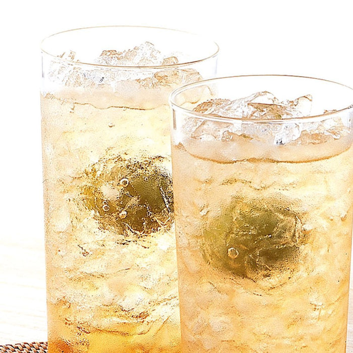 Hario Heat-Resistant Tumbler 300ml HPG-300-Kiichin - The #1 Place for Japanese Goods in Your Hand!