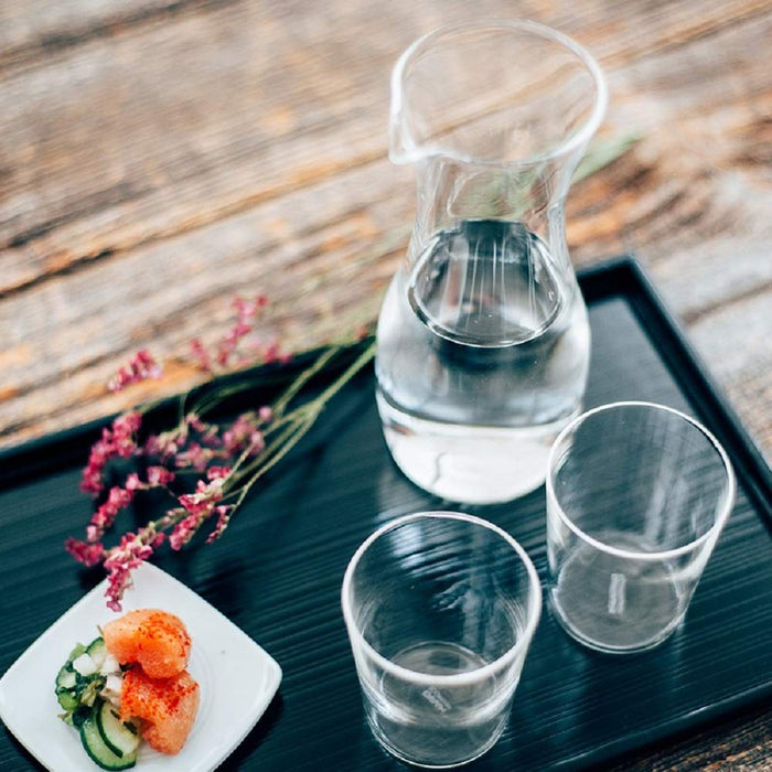 Hario Tokkuri Iki 300ml Ti-300T-Kiichin - The #1 Place for Japanese Goods in Your Hand!