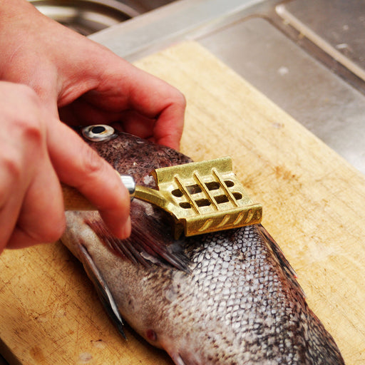 Brass Fish Scaler with Side Wings by Hoshisan Efficient Scaling Tool for Fishermen-Kiichin - The #1 Place for Japanese Goods in Your Hand!
