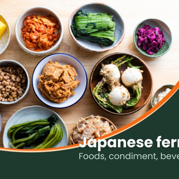 japanese fermented foods