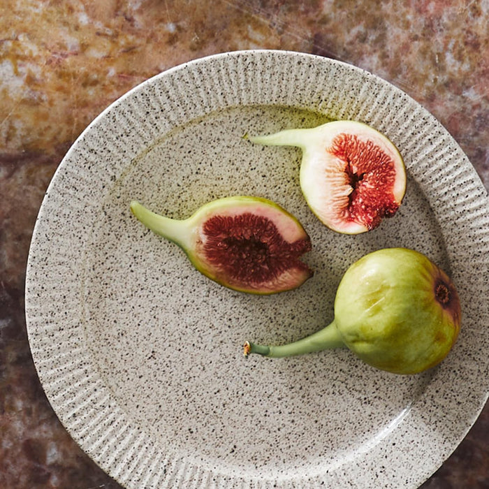 Aito Conti Earthen Texture Curry Pasta Plate 24cm Mino Ware Beige Japan