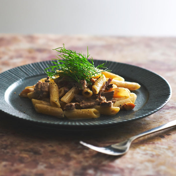 Aito Conti Earthen Texture Curry Plate 24cm Mino Ware Gray Japan-Made