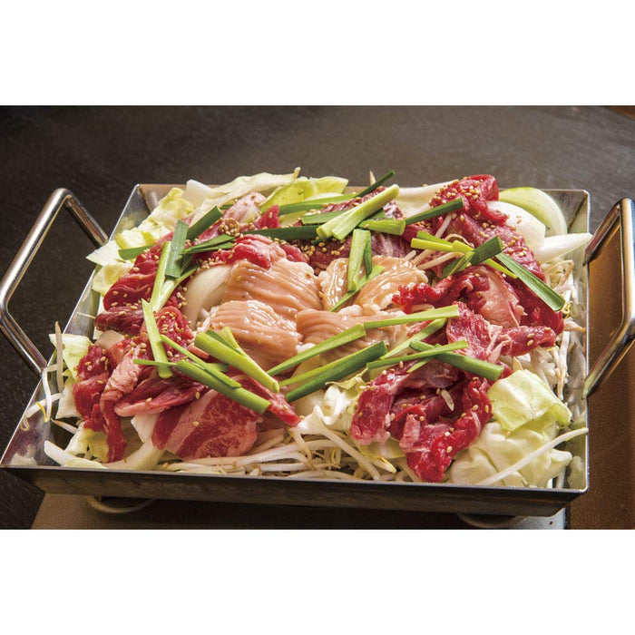 Endo Shoji 21Cm Stainless Steel Commercial Dustpan Made in Japan-Kiichin - The #1 Place for Japanese Goods in Your Hand!