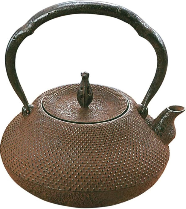 Iwachu Iron Teapot 18-Type Gourd Arare Brown 1.3L Nambu Ironware-Kiichin - The #1 Place for Japanese Goods in Your Hand!