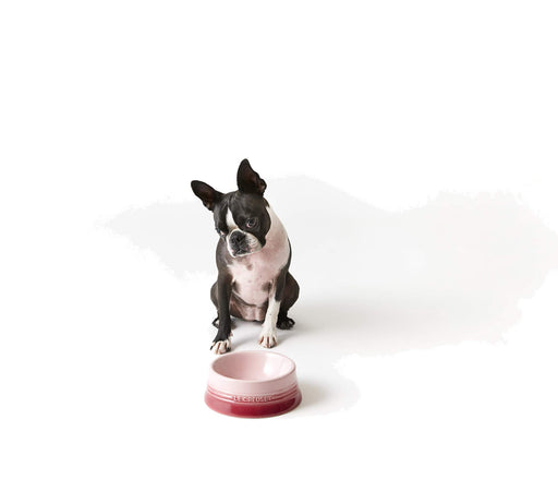 Le Creuset Pet Bowl M Cherry Red Stain Resistant Microwave Safe Japan-Kiichin - The #1 Place for Japanese Goods in Your Hand!