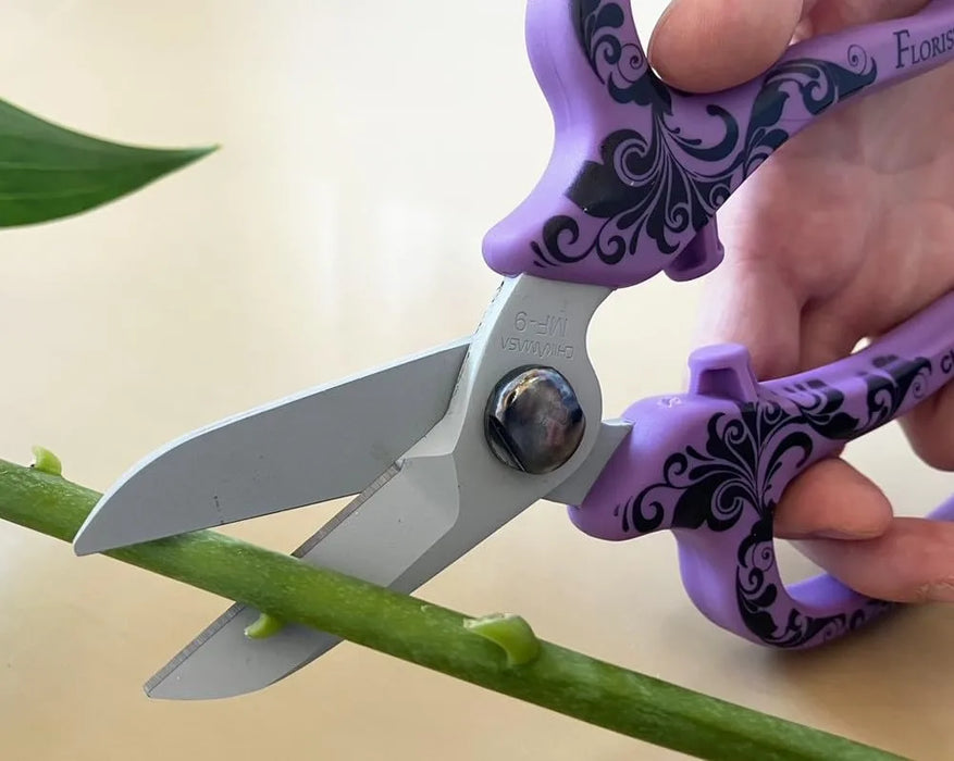 Chikamasa Florist Deluxe Violet Arabesque Pattern Flower Shears MF-9000VA Chikamasa