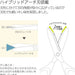 Kokuyo Saxa Fluorine Glueless Blade Scissors