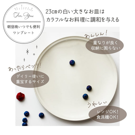 Aito Ciel Ciel Cafe Plate Large 23cmx2cm White Mino Yaki Dish 520108-Kiichin - The #1 Place for Japanese Goods in Your Hand!
