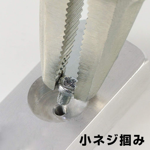 Engineer Nejisaurus VP-3 Vicesaurus PZ-66 Screws Φ3-5.5mm-Kiichin - The #1 Place for Japanese Goods in Your Hand!