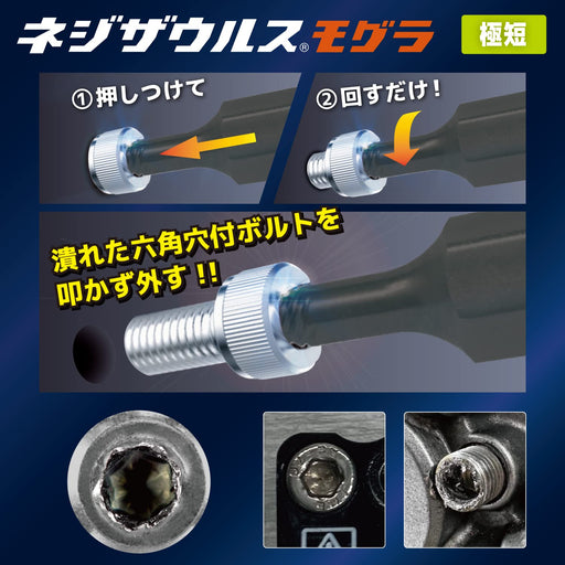 Engineer Nejisaurus Mogura DBZ-315 Ultra-Short Bit Set for Removing Crushed Screws 1.5mm Hex Hole-Kiichin - The #1 Place for Japanese Goods in Your Hand!