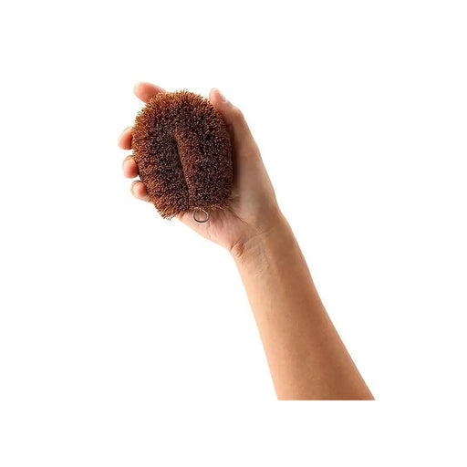 Kamenoko Tawashi Small Palm Fiber Dish Scrubber-Kiichin - The #1 Place for Japanese Goods in Your Hand!