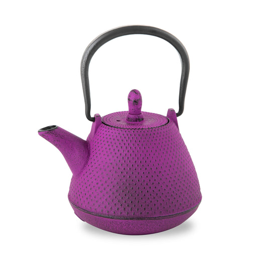 Nambu Tekki Teapot 0.4L Japan - Purple Dome - Inclusive Tea Strainer-Kiichin - The #1 Place for Japanese Goods in Your Hand!